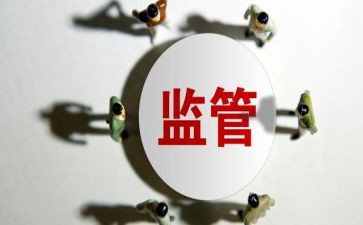 监管工作总结模板8篇