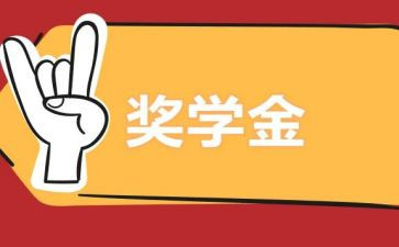 奖学金申请表个人总结5篇