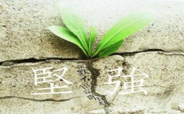 坚强作文优秀6篇