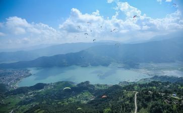 春节见闻作文200字5篇