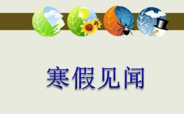 假期见闻作文800字8篇