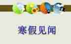 假期见闻作文800字8篇