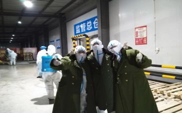 2024年植物检疫工作总结6篇