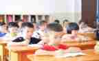 学校教学处工作总结模板6篇
