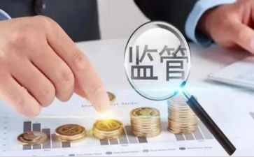 稽查员的工作计划5篇