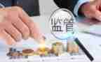 稽查员的工作计划5篇