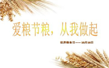 节粮爱粮活动总结6篇