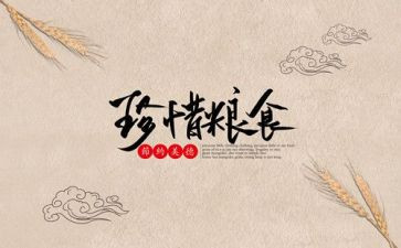 青春节粮心得体会精选7篇