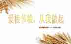 节粮爱粮活动总结6篇