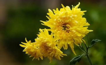 借物喻人的作文500字6篇