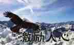 高三开学激励演讲稿5篇