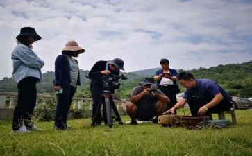 故宫纪录片观后感8篇