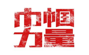 巾帼建功标兵事迹8篇