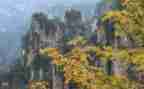 小学写景类作文优质5篇