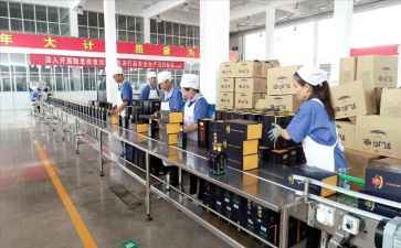 镇经发中心工作总结模板6篇
