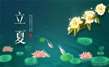 节气教案通用7篇