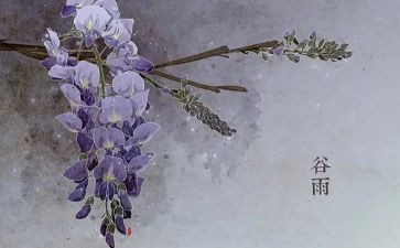 幼儿园24节气教案最新5篇