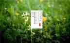 节气教案优秀6篇