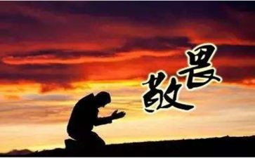 敬畏动物善待动物的演讲稿5篇