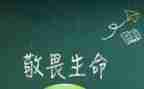 生命的敬畏的作文8篇