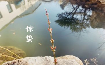 惊蛰心得体会7篇