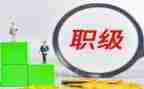 医师晋升工作个人总结5篇