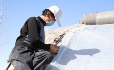 年度技术工作总结模板5篇