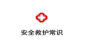 120救护司机工作总结5篇