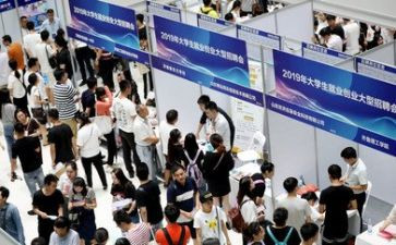就业意向的调查报告8篇