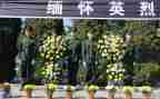 祭英烈活动心得体会400字7篇