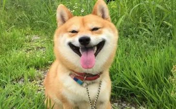 一件开心的事作文5篇