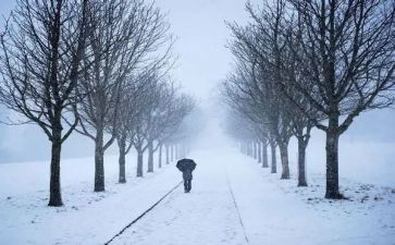 靠自己作文优质6篇