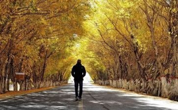 靠自己作文推荐8篇