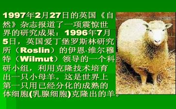 如果我会克隆的作文6篇