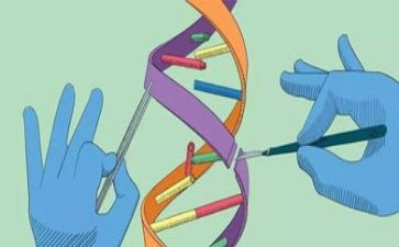冀教版科学四年级上册教案8篇