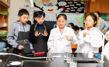 小学科学课工作总结最新5篇