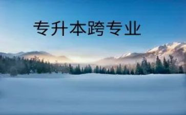 跨专业实训心得体会5篇