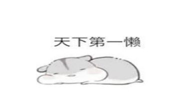 我真懒的作文400字优质5篇