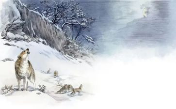 读《狼王梦》心得体会参考8篇