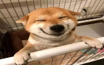 年终音乐教师工作总结精选7篇