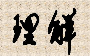 理解与心得体会通用6篇