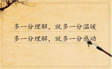 理解与心得体会7篇