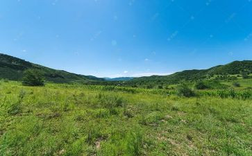 卖林地合同模板6篇