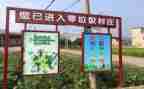 街办垃圾分类工作总结优质5篇
