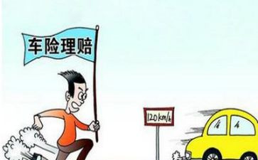 2024保险理赔工作总结优质5篇