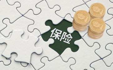 2024保险理赔工作总结6篇