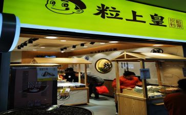 粒上皇调研报告推荐8篇