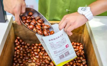 粒上皇调研报告最新6篇