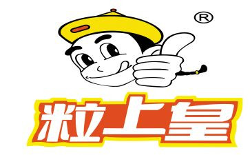 粒上皇调研报告精选8篇