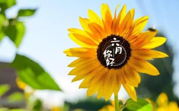 一六月份工作总结7篇